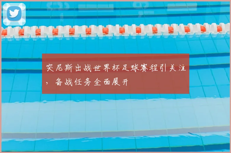突尼斯出战世界杯足球赛程引关注，备战任务全面展开