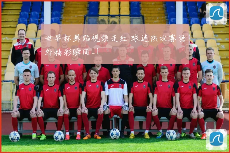 世界杯舞蹈视频走红 球迷热议赛场外精彩瞬间_1