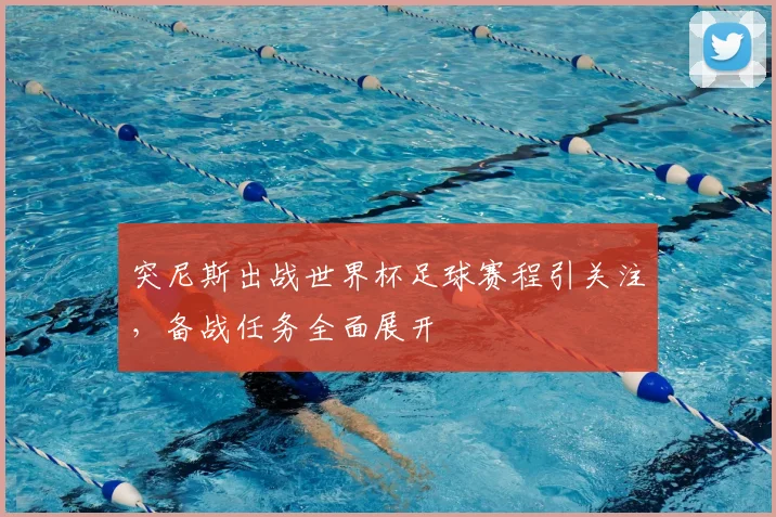 突尼斯出战世界杯足球赛程引关注，备战任务全面展开
