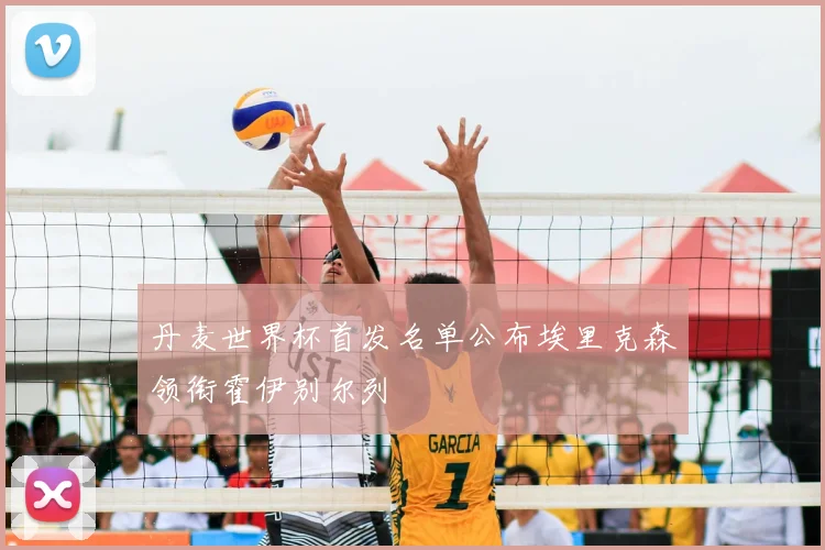 丹麦世界杯首发名单公布埃里克森领衔霍伊别尔列