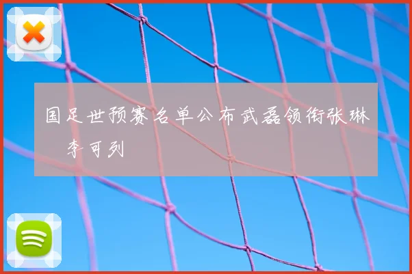 国足世预赛名单公布武磊领衔张琳芃李可列