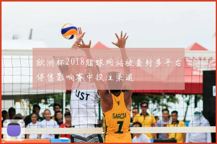 欧洲杯2018赌球网站被查封多平台停售影响赛中投注渠道