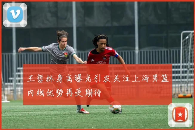 王哲林身高曝光引发关注上海男篮内线优势再受期待