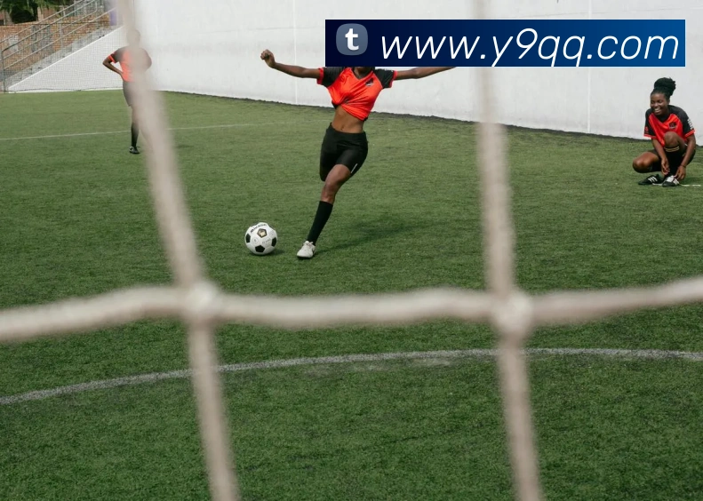 开云手机登录官网入口品牌故事