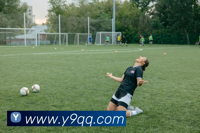 开云手机登录官网入口服务体系